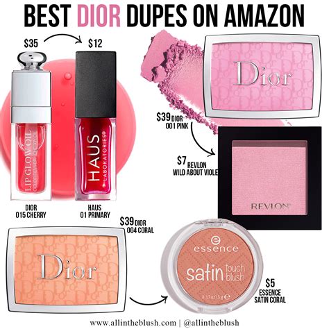 best cheap dior lip dupe.